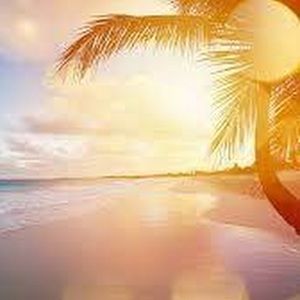 Meet your Posher, Bailey